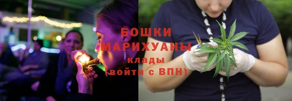 ешки Верхний Тагил