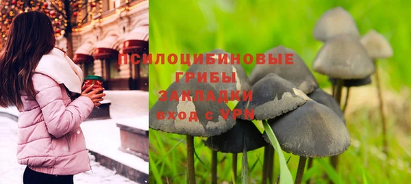 винт Карпинск