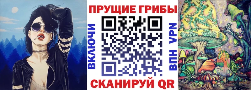 Псилоцибиновые грибы Magic Shrooms  МЕГА онион  Кинель  цена наркотик 
